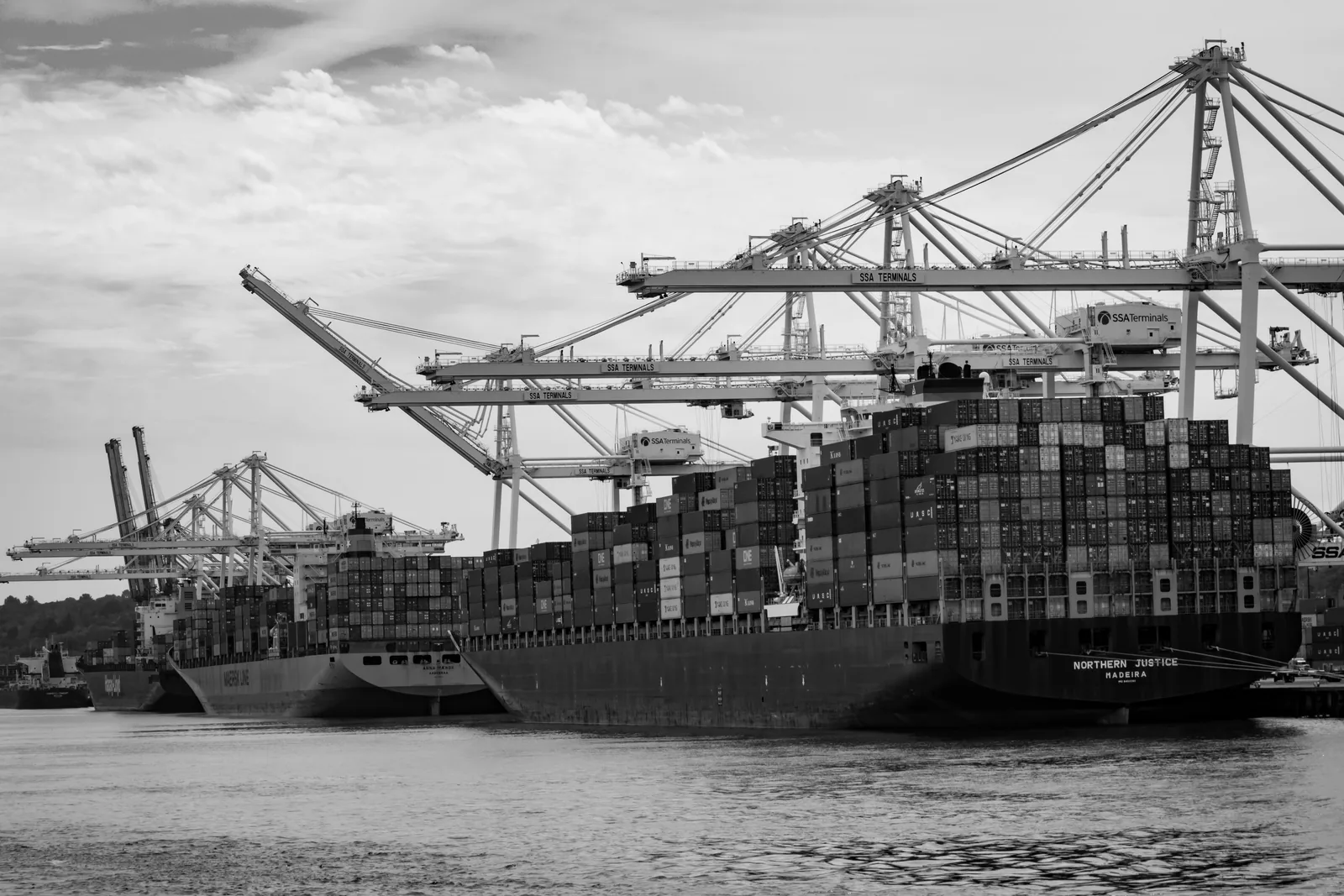 Can global trade predict the spread of invasive species?