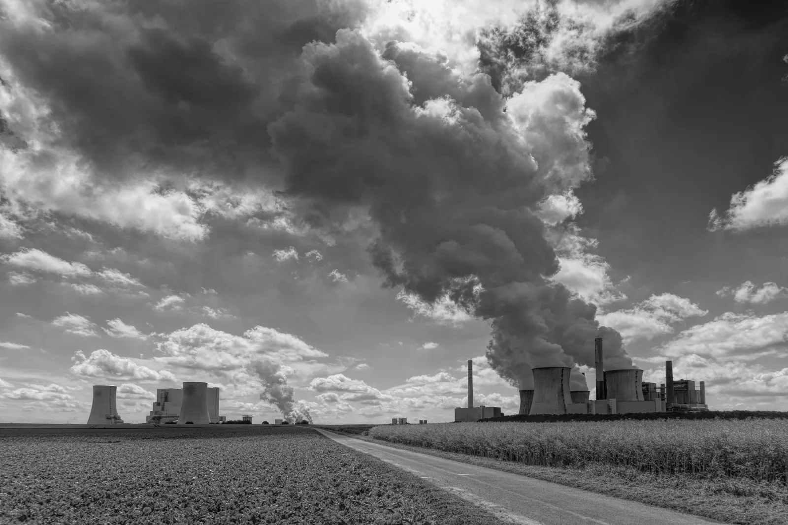 From carbon to biodiversity: how companies can build the next layer of ESG strategy