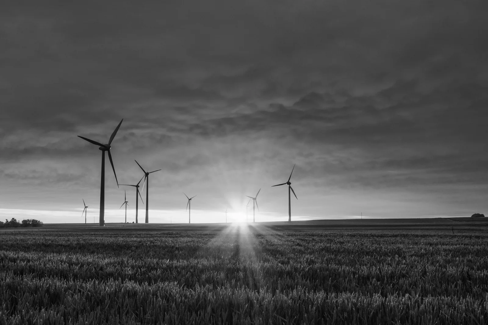 How can a company take action on biodiversity?